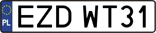 EZDWT31