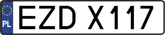 EZDX117