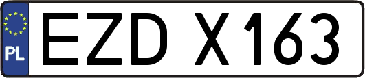 EZDX163