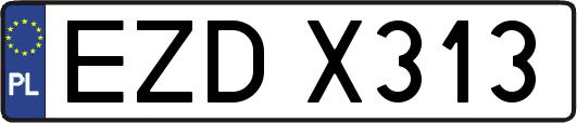 EZDX313