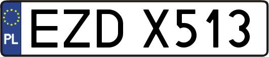 EZDX513