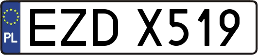EZDX519
