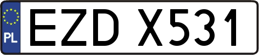 EZDX531