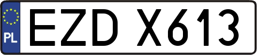 EZDX613