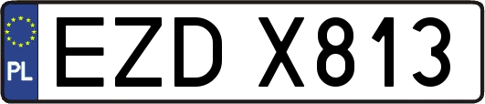 EZDX813