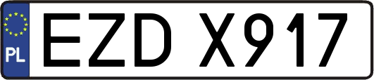EZDX917