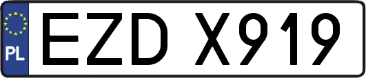 EZDX919