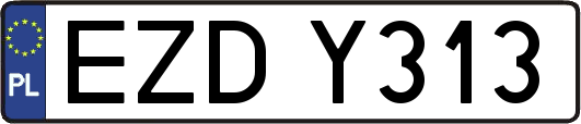 EZDY313