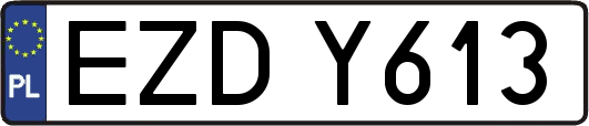 EZDY613