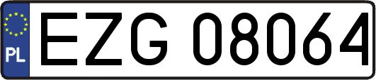 EZG08064