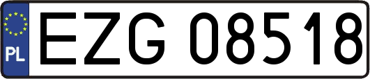 EZG08518