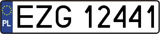 EZG12441