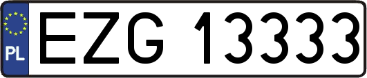 EZG13333