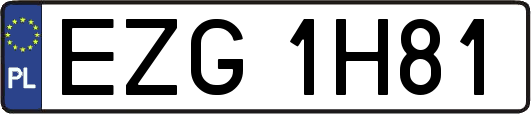EZG1H81