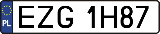 EZG1H87