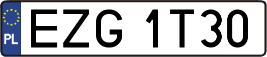 EZG1T30