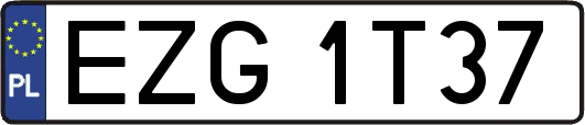 EZG1T37