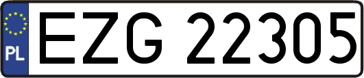 EZG22305