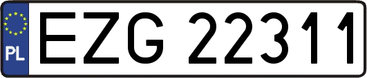 EZG22311