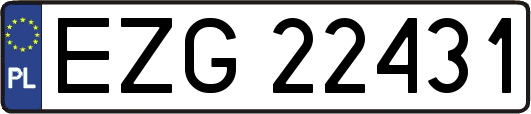 EZG22431