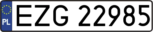 EZG22985