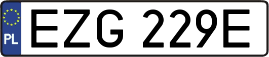 EZG229E