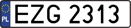 EZG2313