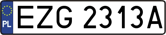 EZG2313A