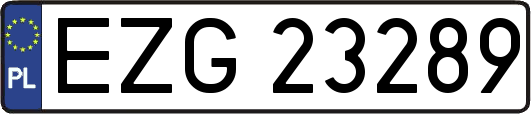 EZG23289