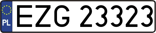 EZG23323