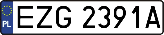 EZG2391A
