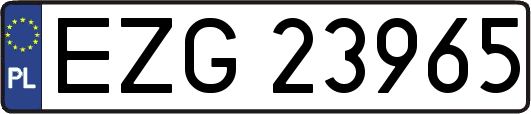 EZG23965