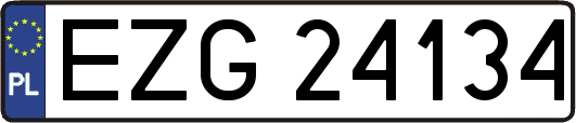 EZG24134