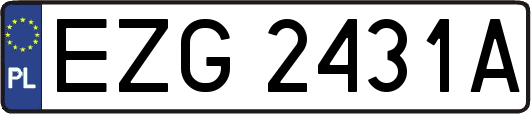 EZG2431A