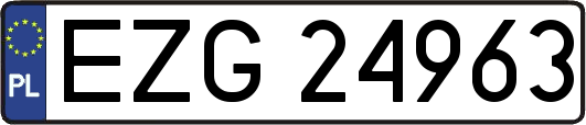 EZG24963