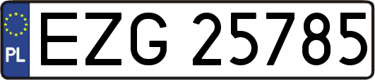 EZG25785