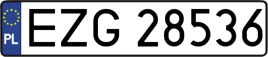 EZG28536