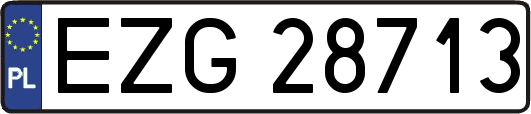 EZG28713