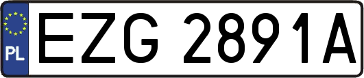 EZG2891A