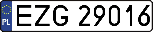 EZG29016