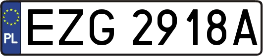 EZG2918A