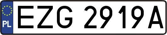 EZG2919A