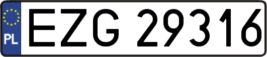EZG29316