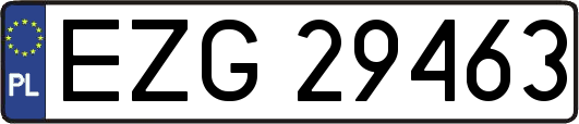 EZG29463