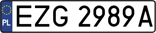 EZG2989A