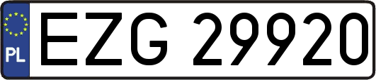 EZG29920
