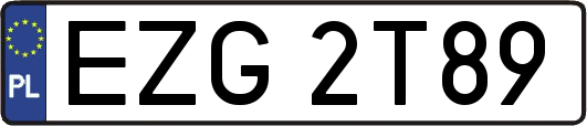 EZG2T89