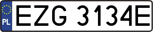 EZG3134E