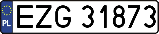 EZG31873
