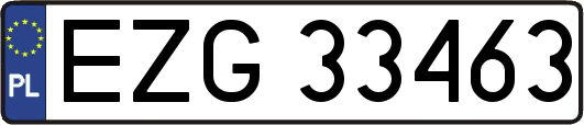 EZG33463
